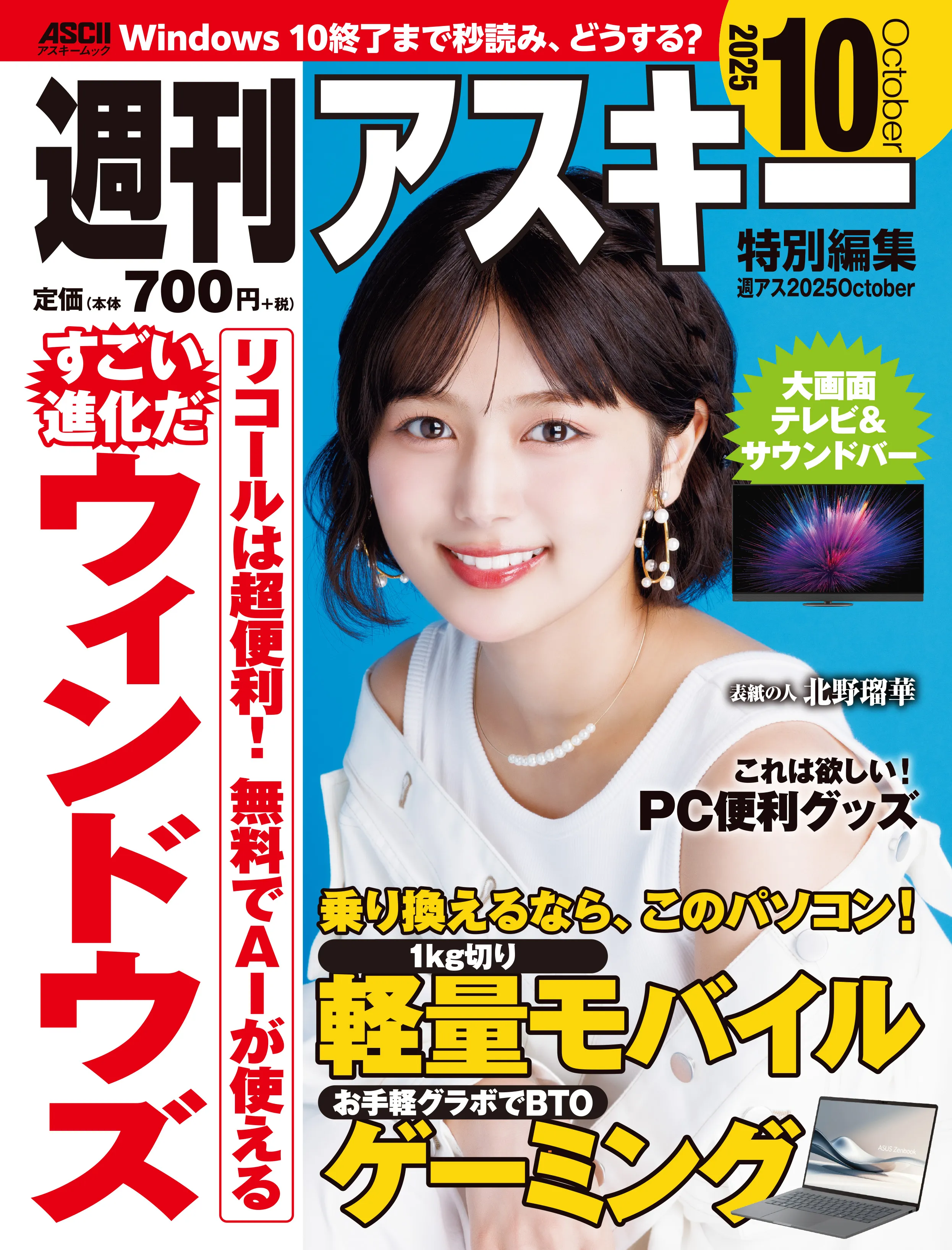 概要サムネイル画像