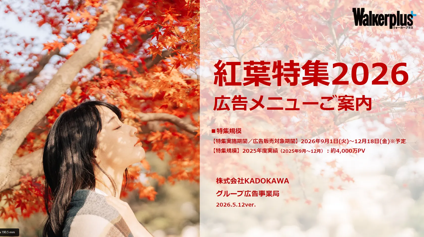紅葉特集