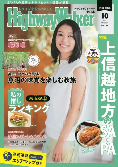 概要サムネイル画像